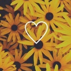 Meet your Posher, Daniela